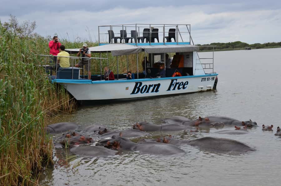 From Durban: St. Lucia Wetlands Boat Ride - The Durban to St Lucia drive: comfort and time management