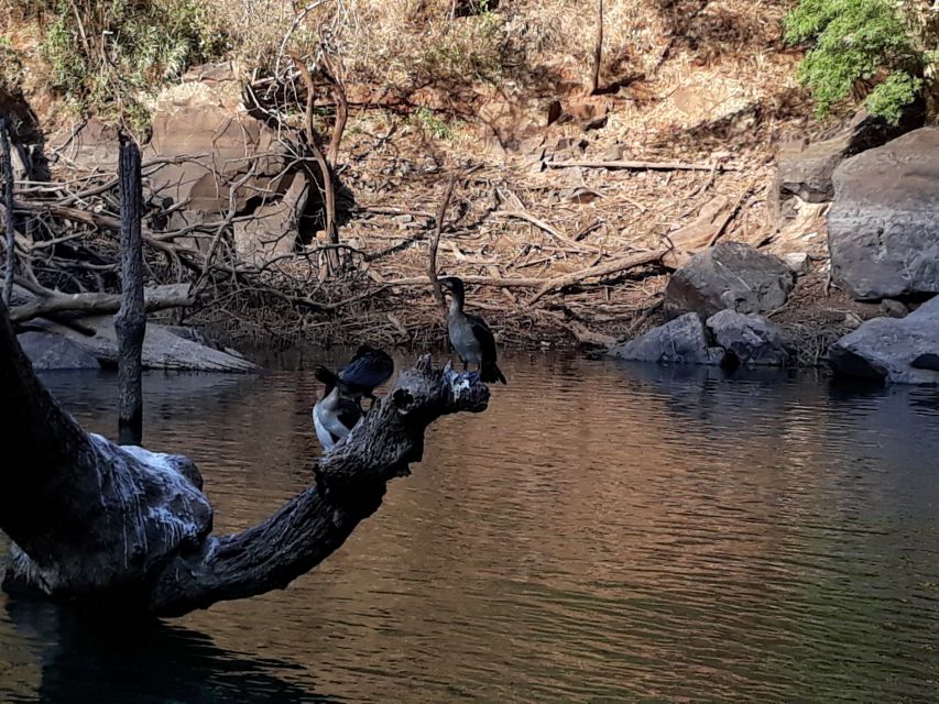 From Hazyview: Blyde River Canyon Highlight & Boat Cruise - Key Highlights Worth Planning Around