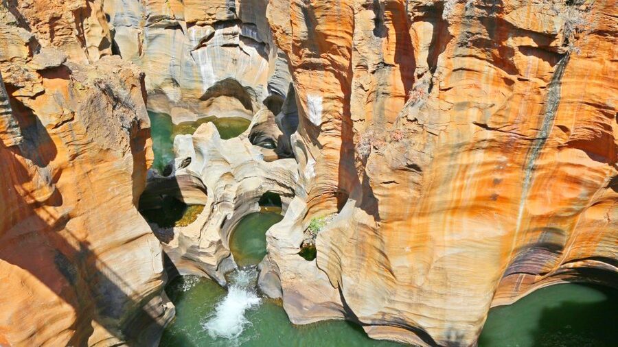 From Hazyview: Blyde River Canyon Highlight & Boat Cruise - Swadini Aventura Boat Cruise: Wildlife, Plants, and River Life