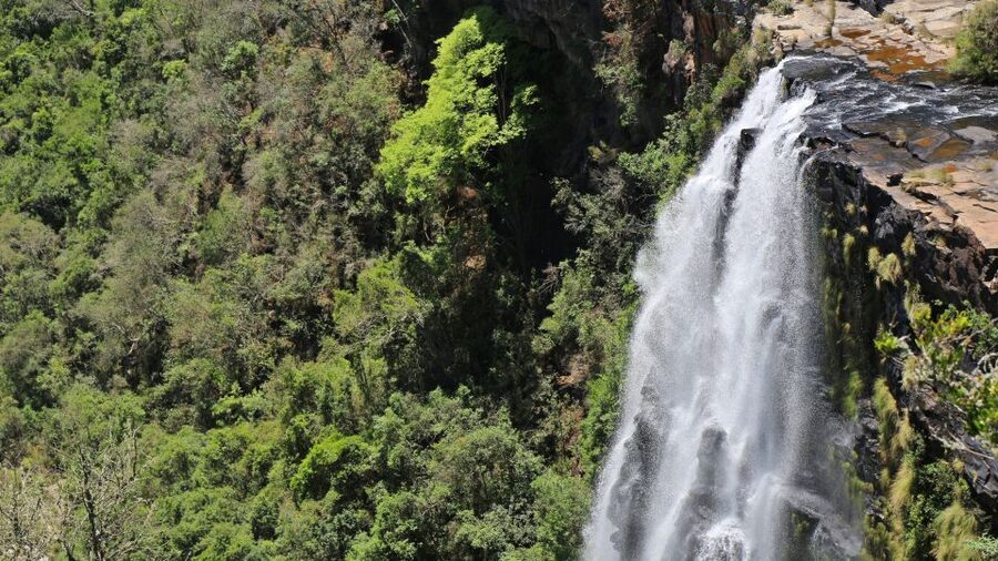 From Hazyview: Blyde River Canyon Highlight & Boat Cruise - God’s Window: Your Orientation Point in the Lowveld