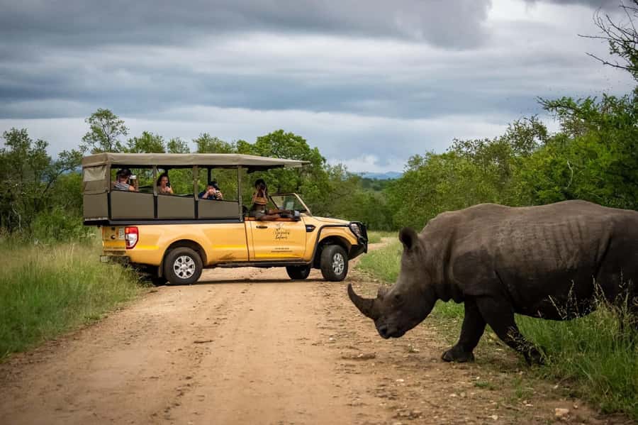 From Hazyview: Kruger National Park Full-Day Safari - Getting Comfortable on an Open Safari Vehicle (Rain or Shine)