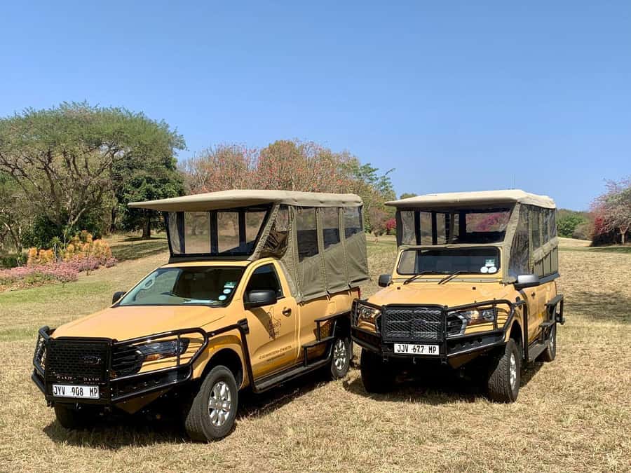 From Hazyview: Kruger National Park Full-Day Safari - Breakfast Stop: Fuel Up and Use the Free Time Wisely