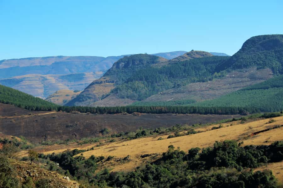 From Hazyview: Panorama Tour Highlights - Key Highlights at a Glance