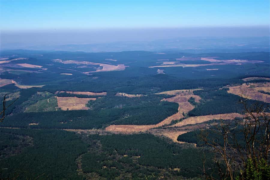 From Hazyview: Panorama Tour Highlights - Price and Value: What $90 Includes, and What to Budget For