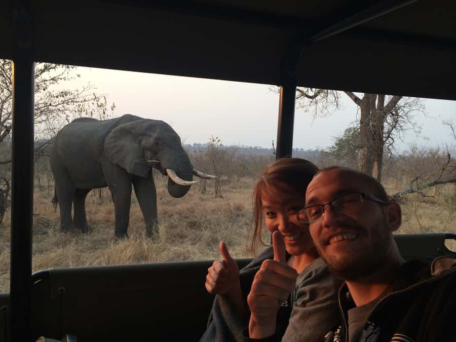 From Hazyview: Private Afternoon Game Drive - Timing, drive length, and what 5 hours really means