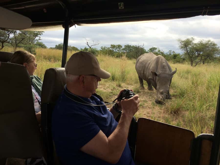 From Hazyview: Private Afternoon Game Drive - Pickup in Hazyview and nearby areas, with a truly private feel