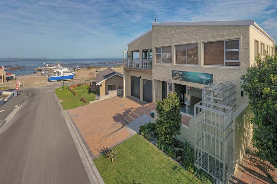 From Hermanus or Cape Town: Shark Cage Diving Experience - Getting There: Pickup Times, Travel Duration, and Meeting Points