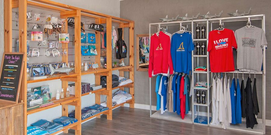 From Hermanus or Cape Town: Shark Cage Diving Experience - Lunch, Showers, and the Little Extras That Make the Whole Day Feel Finished