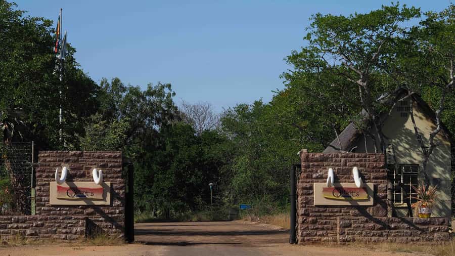 From Johannesburg: 2-Day Safari into Kruger National Park - Hazyview Lodge Stay, Campfire Dinner, and the Real Comfort Stuff