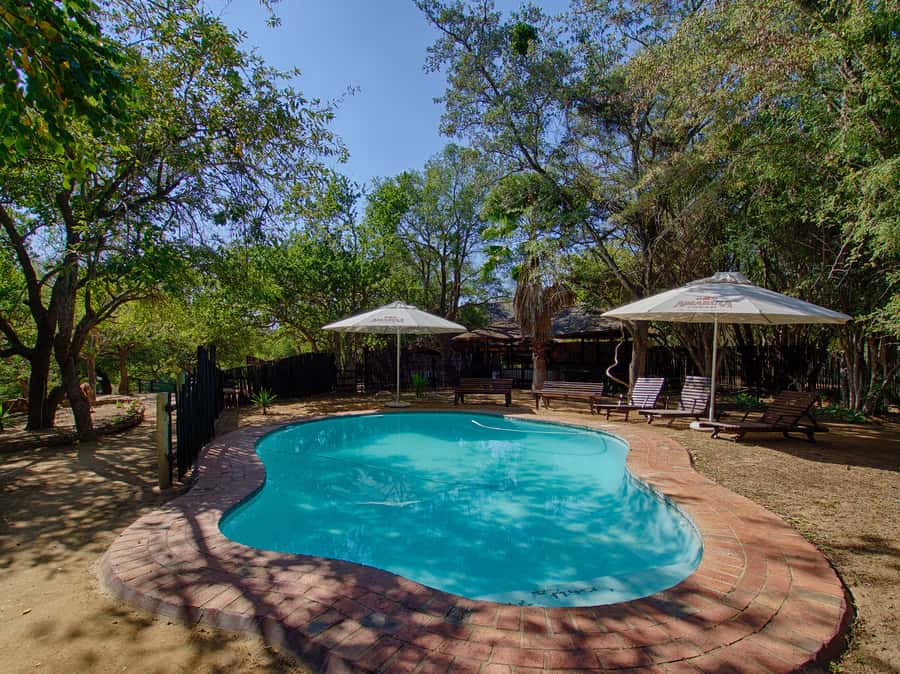 From Johannesburg: 3-Day Budget Tent Kruger Park Safari - Price and Value: Is $653 Fair for 3 Days?