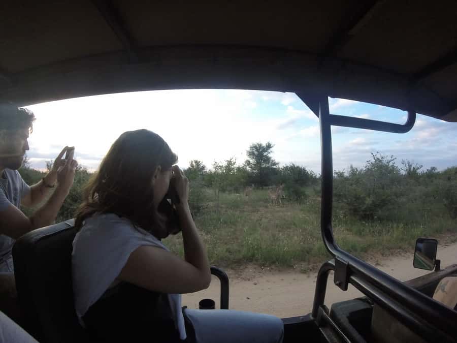 From Johannesburg: 3-Day Budget Tent Kruger Park Safari - Tremisana Lodge, Then Balule Sunset in an Open Landcruiser