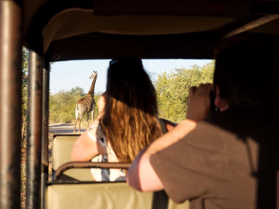 From Johannesburg: 3-Day Budget Tent Kruger Park Safari - Breakfast at 6:45 AM, Then Orpen for a Full Day in Kruger