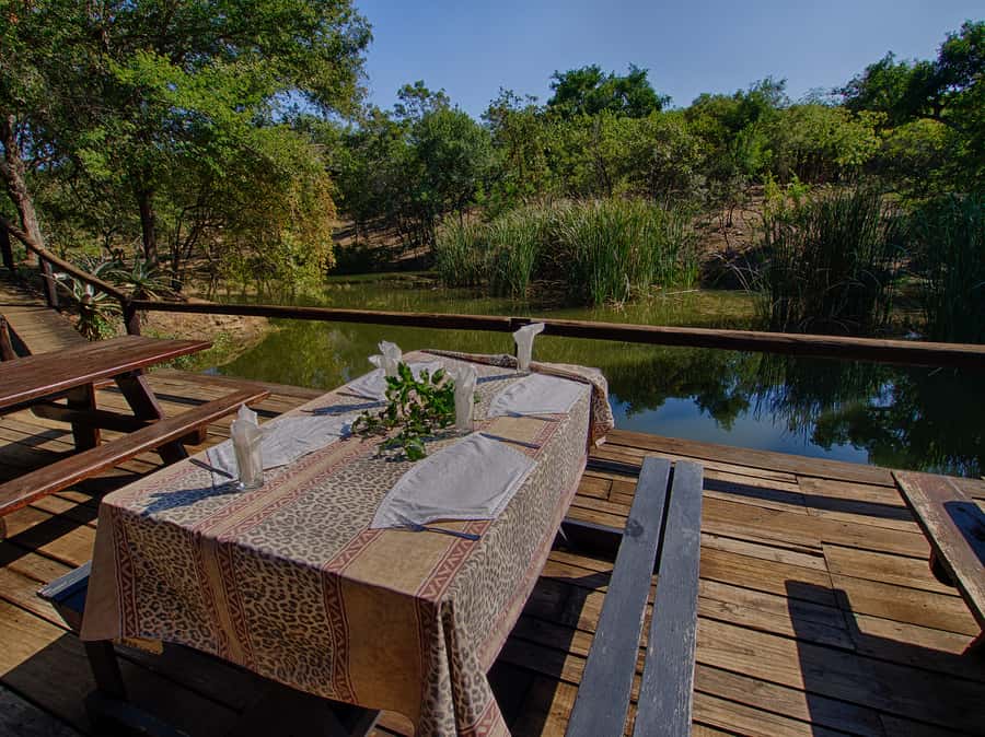 From Johannesburg: 3-Day Budget Tent Kruger Park Safari - Guides, Guides, and Drivers: The Human Part of This Safari