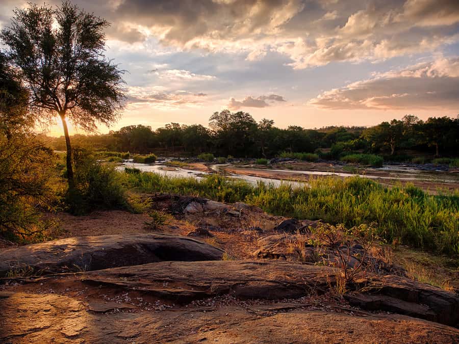 From Johannesburg: 3-Day Budget Tent Kruger Park Safari - After Dark BBQ and a Night Drive at Campfire Academy
