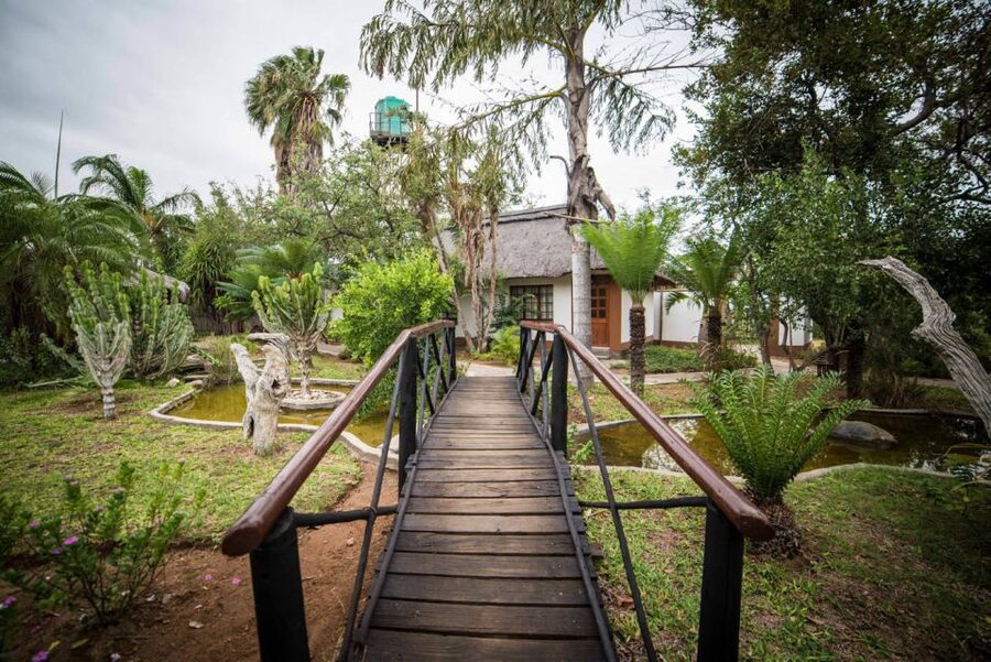 From Johannesburg: 6-Day Classic Kruger National Park Safari - Moholoholo Rehabilitation Centre: conservation you can see close up