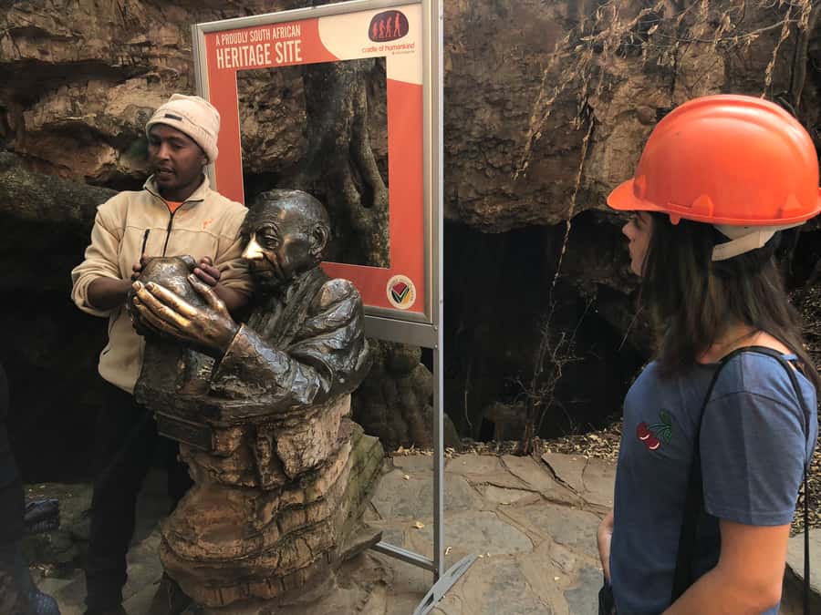 From Johannesburg: Cradle of Humankind and Lion Safari - Key highlights worth getting excited about