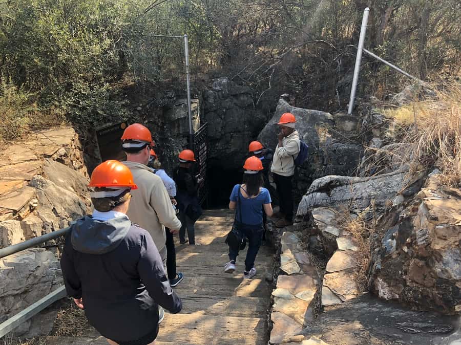 From Johannesburg: Cradle of Humankind and Lion Safari - Should you book this tour?