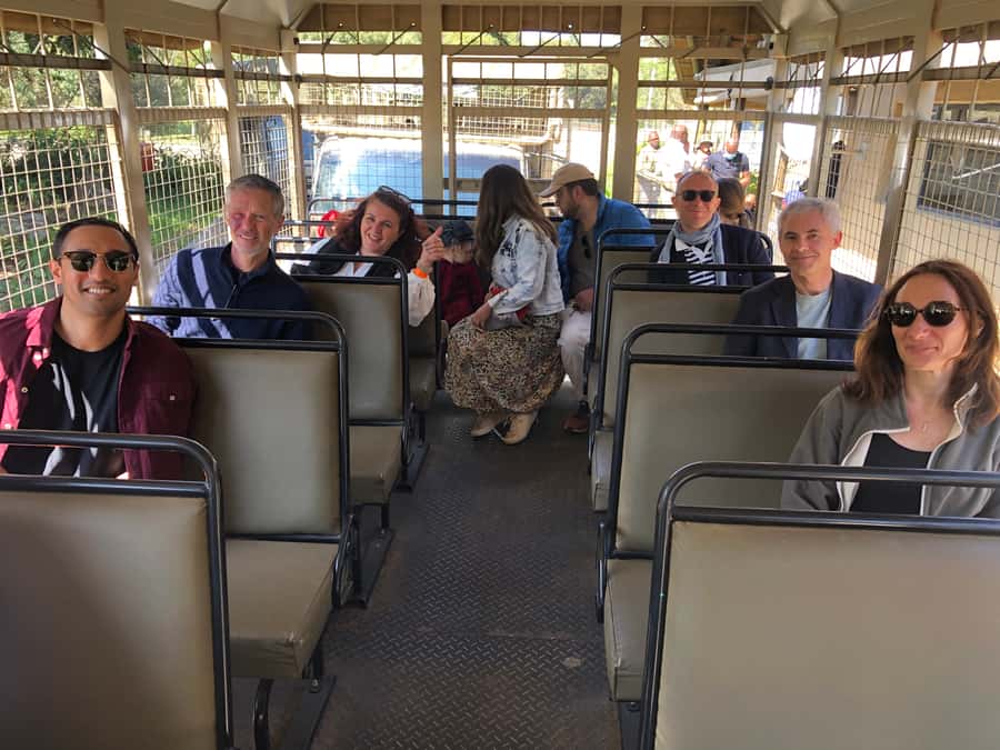 From Johannesburg: Cradle of Humankind and Lion Safari - The pacing and timing of this 9-hour loop