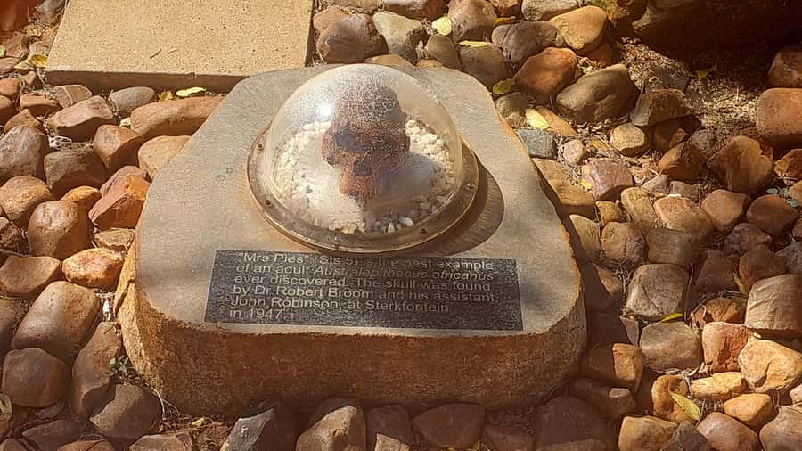 From Johannesburg: Cradle of Humankind Private Half-Day Tour - Key highlights worth planning around