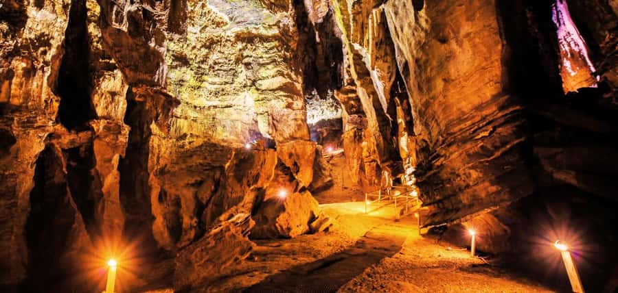 From Johannesburg: Cradle of Humankind Tour - Key highlights worth your time