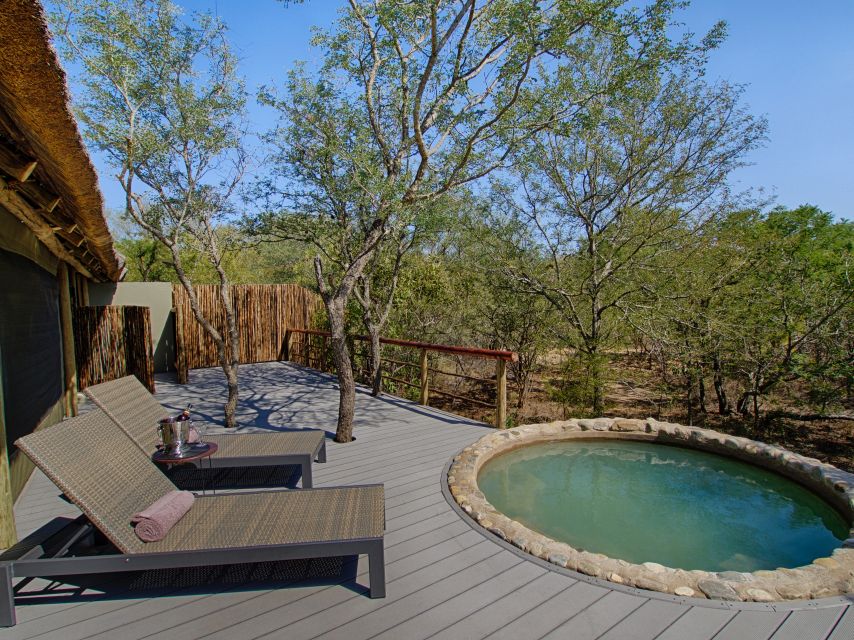 From Johannesburg: Kruger National Park 4-Day Luxury Safari - How the guides, rangers, and lodge staff shape your day