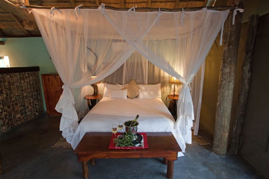 From Johannesburg: Kruger National Park 4-Day Luxury Safari - Day 1: From Johannesburg to Tremisana, then Balule sunset drive and Marula Tree Boma