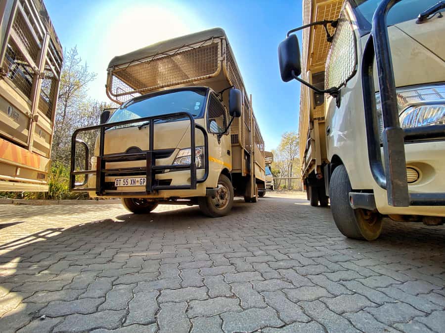 From Johannesburg: Lion & Safari Park Half-Day Tour - Should You Book This Half-Day Lion and Safari Park Tour?