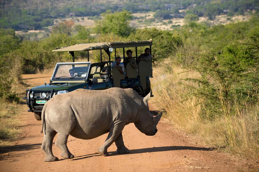 From Johannesburg: Pilanesberg Nature Reserve Game Safari - The “why” behind Pilanesberg from Johannesburg