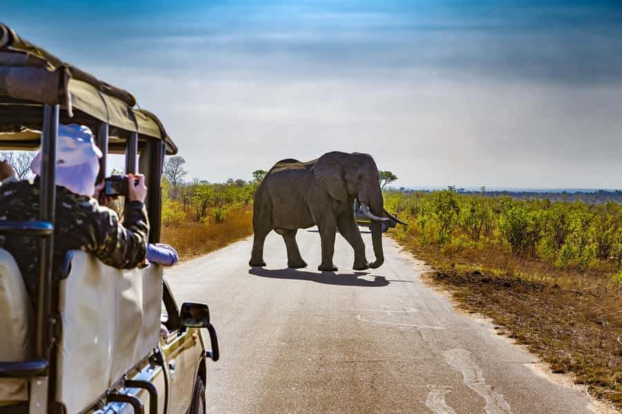 From Johannesburg: Pilanesberg Wildlife Safari - Key Highlights You Should Care About