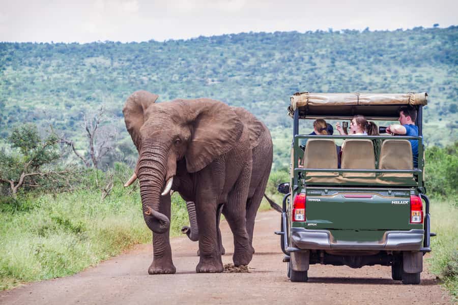 From Johannesburg: Pilanesberg Wildlife Safari - Why Pilanesberg Works So Well on a Day Trip From Johannesburg
