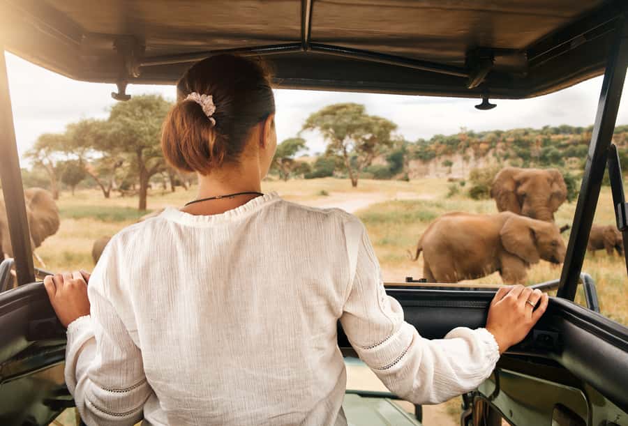 From Johannesburg: Pilanesberg Wildlife Safari - The Lunch Break Inside the Park: Small Pause, Big Value