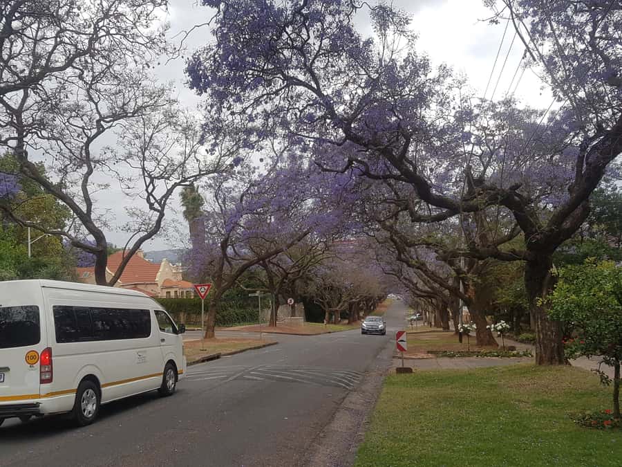 From Johannesburg: Pretoria Half Day Tour - A Smart Half Day From Johannesburg to Pretoria