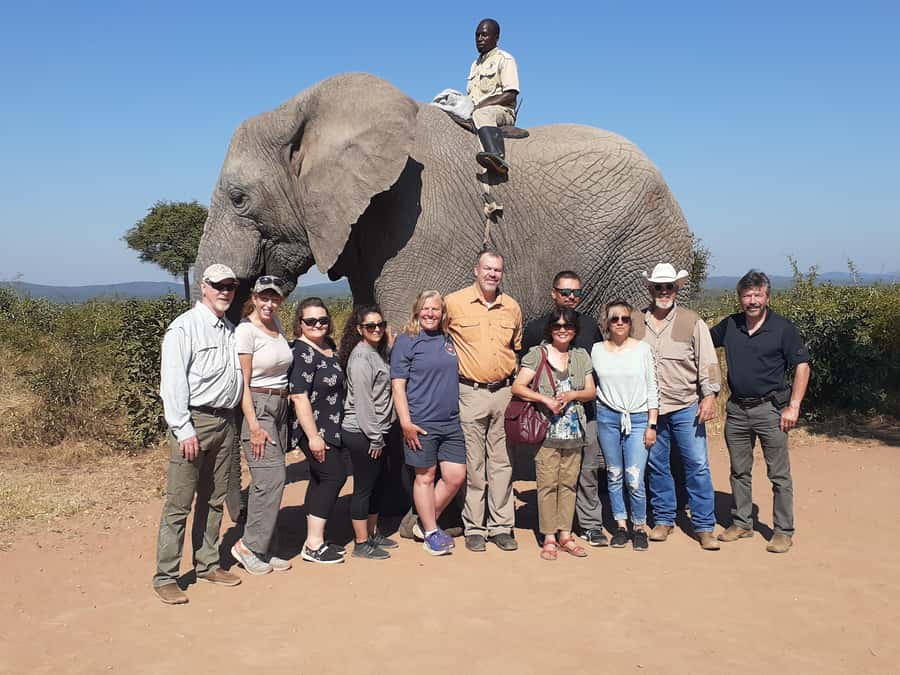 From Malelane: Half Day Kruger Park Wildlife Safari - Early Pickup in Kruger, Not a Full-Day Commitment