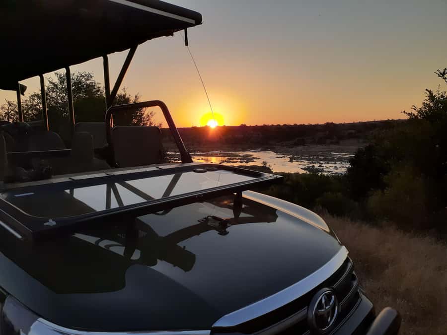 From Malelane: Half Day Kruger Park Wildlife Safari - How the Breakfast Stop Works (And What It Means for Your Morning)