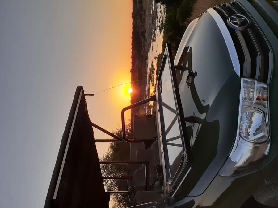 From Malelane: Kruger National Park Full-Day Safari - Comfort Stops and the Return Trip Without the Drag