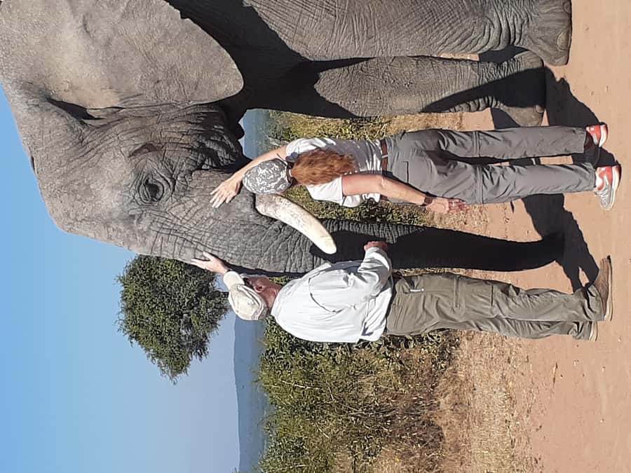 From Malelane: Kruger National Park Full-Day Safari - Price and Value: What $137 Buys You (And What It Doesn’t)