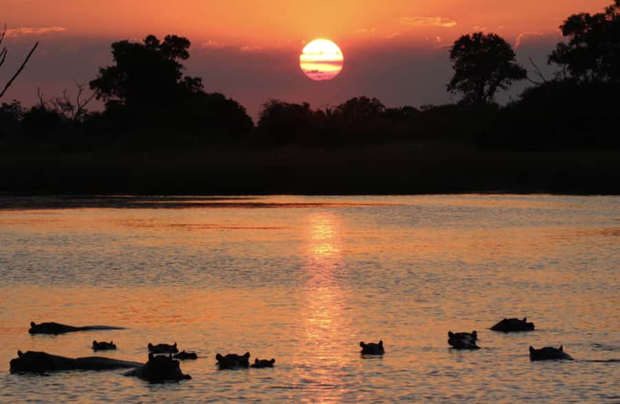 From Marloth Park: Sunset River Cruise Safari - What the 3 Hours Feel Like, From Launch to Last Light