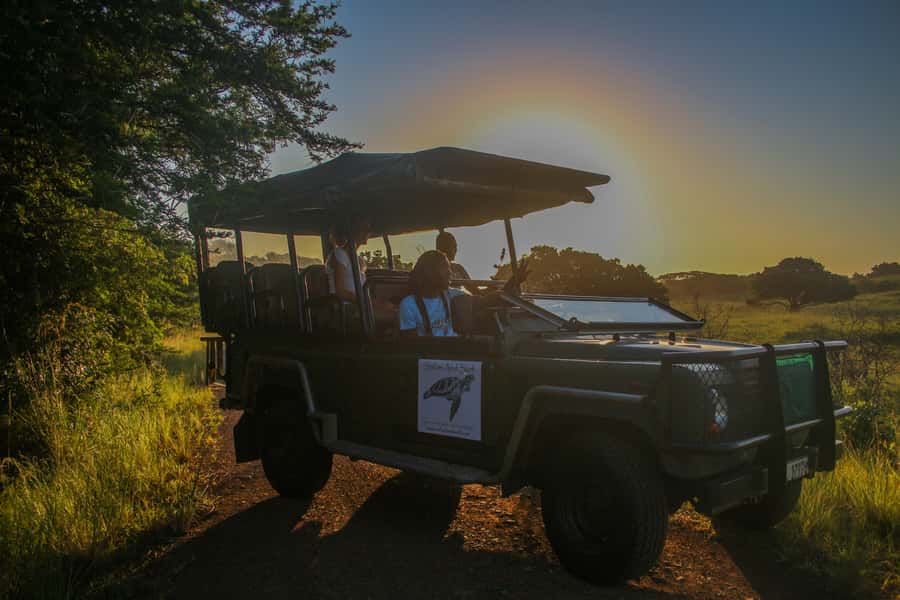 From St Lucia: Cape Vidal Full-Day Snorkeling Safari - Key highlights worth planning for