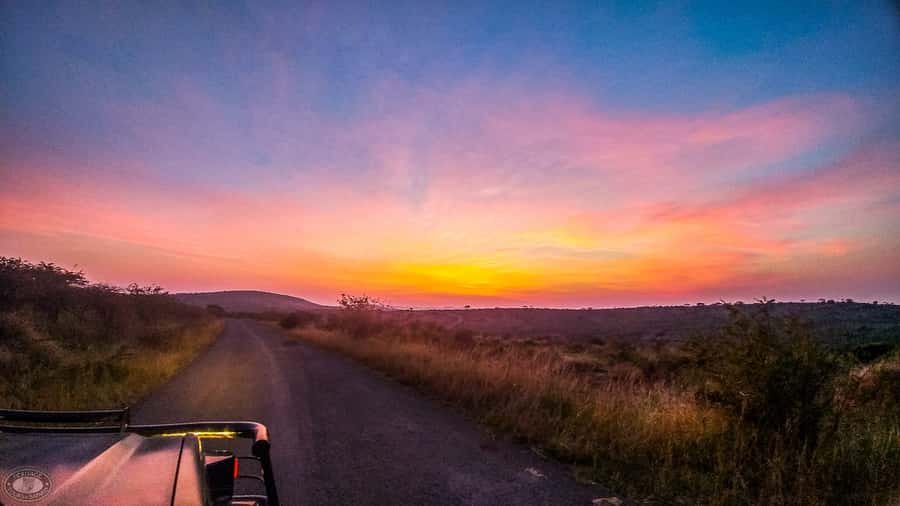 From St Lucia: iSimangaliso Sunset Safari - The Jeep safari setup: small group, live guide, real attention to wildlife