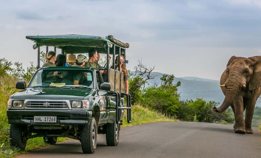 From St Lucia: iSimangaliso Sunset Safari - Panoramic views and the sunset routine that makes the ride feel complete
