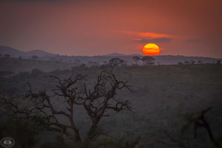 From St Lucia: iSimangaliso Sunset Safari - Wildlife watching tips that actually help on a short sunset drive