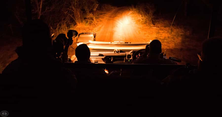 From St Lucia: iSimangaliso Wetland Park Night Drive Safari - Key Highlights That Make This Night Drive Worth It