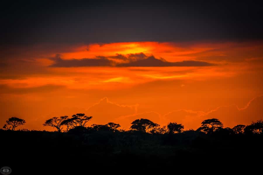 From St Lucia: iSimangaliso Wetland Park Night Drive Safari - The Sky Part: Constellations and a Break From the Spotlight