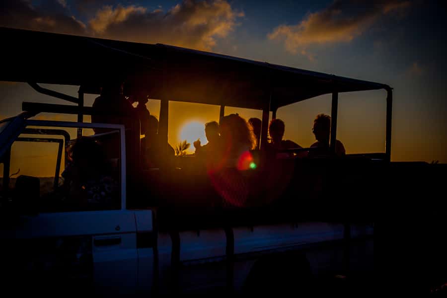 From St Lucia: iSimangaliso Wetland Park Night Drive Safari - Small Group Safari: Better Scanning, Less Waiting Around