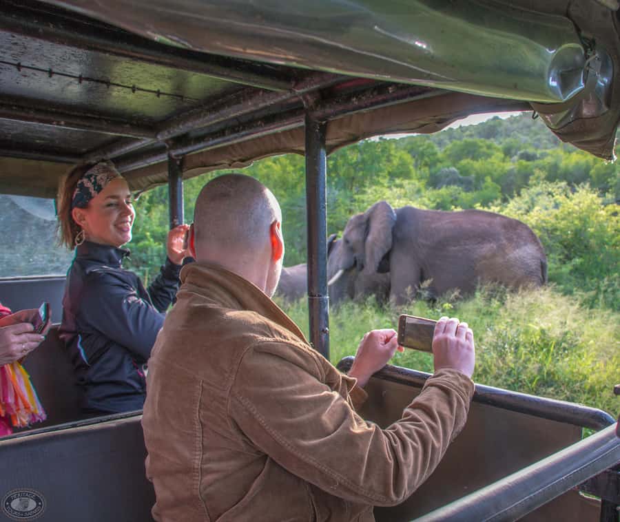 From St Lucia: iSimangaliso Wetland Park Night Drive Safari - Night-Safari Big Moments: Elephants in Moonlight, Buffalo on the Plains