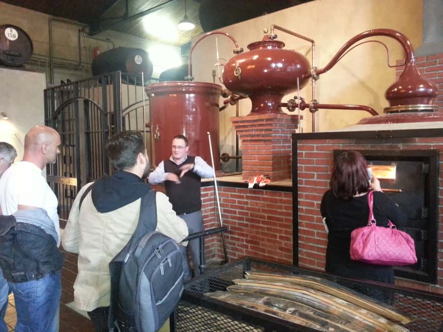 From Stellenbosch: Hop-On Hop-Off Wine Tour Southern Route - Why This Hop-On Wine Tour Works for Your Day in Stellenbosch