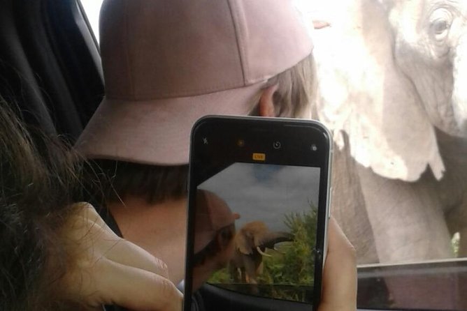 Full Day Addo Elephant National Park Safari wit BBQ:Thentic Tours - Group size and the feel of the safari