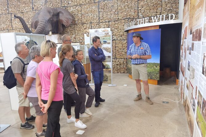 Full-Day Addo Elephant Park & Giraffe Walk - Guides and pacing: names you’ll hear, and why it matters