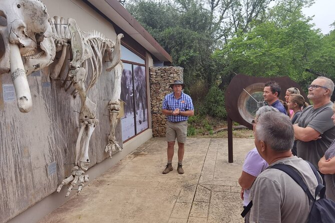 Full-Day Addo Elephant Park & Giraffe Walk - Price and value: is $178.93 a good deal for this kind of day?