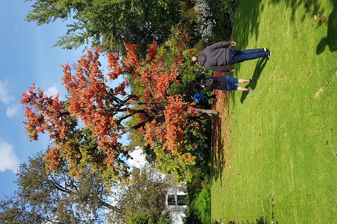Full Day Afrivista Wine Tours from Stellenbosch - Price and value: what $79.08 covers